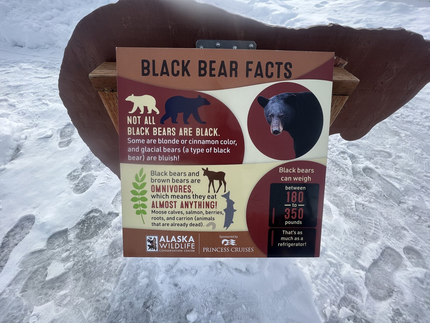 New Bear information sign