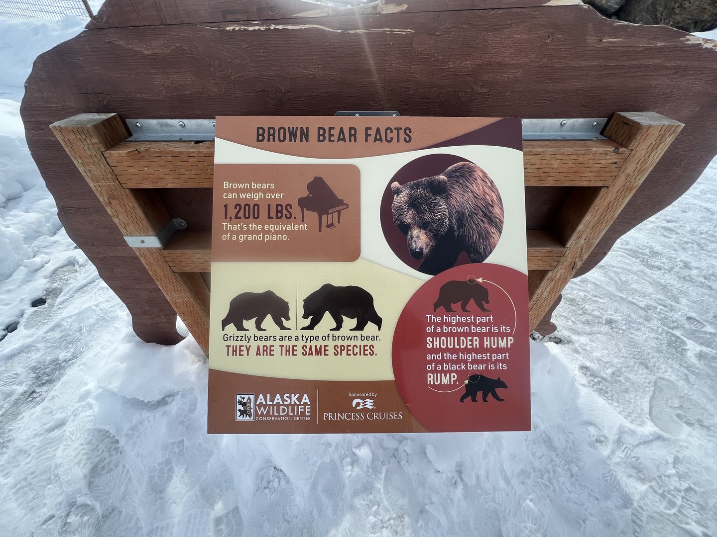 New Bear Information Sign