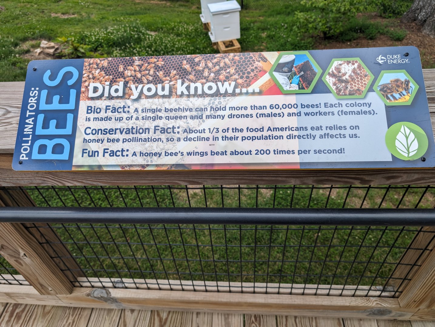 New Beehive signage by the Pygmy Hippo exhibit