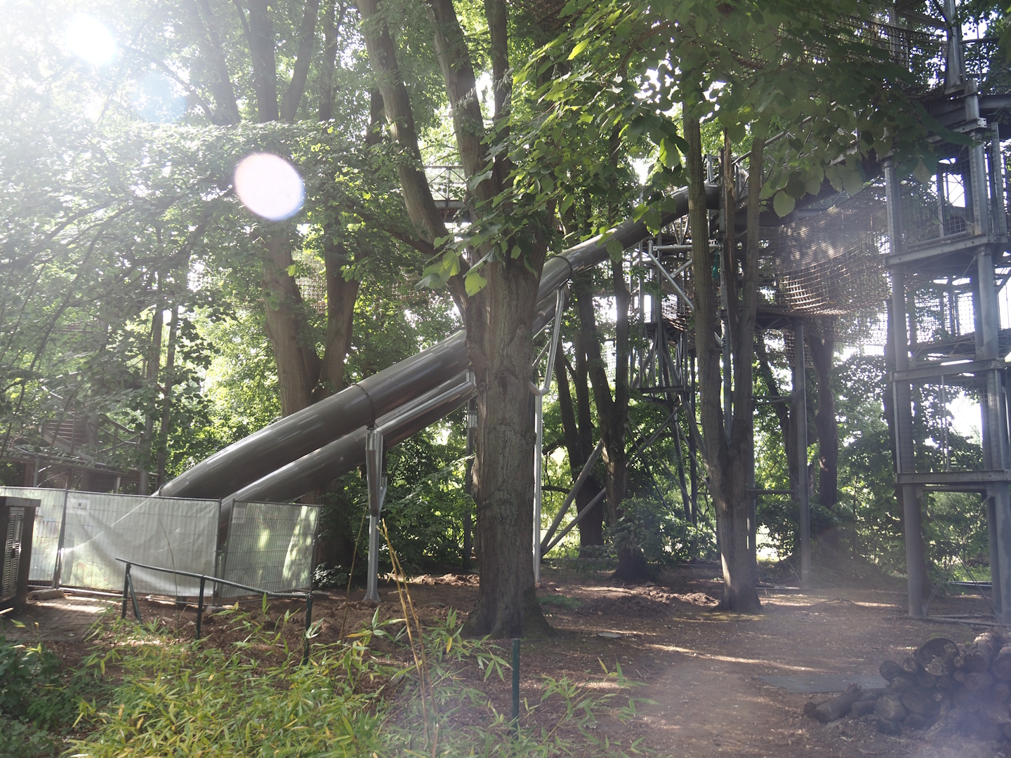 New big slide between the tree-top walk and the new playground, 2025-06-03