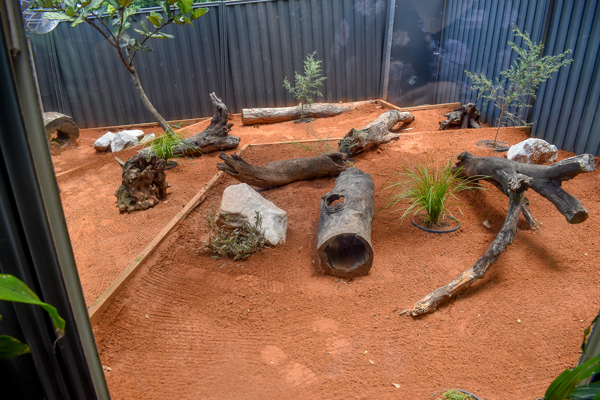 New Bilby Enclosure