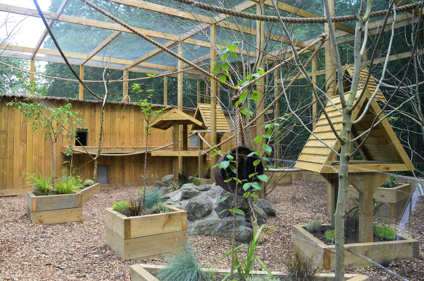 New binturong enclosure, outdoor area