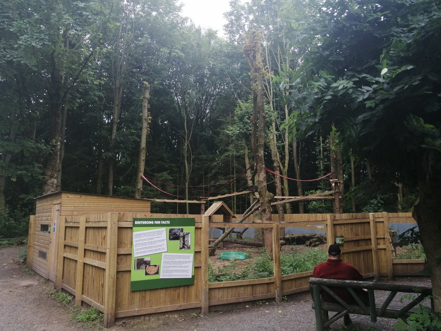 New Binturong Enclosure