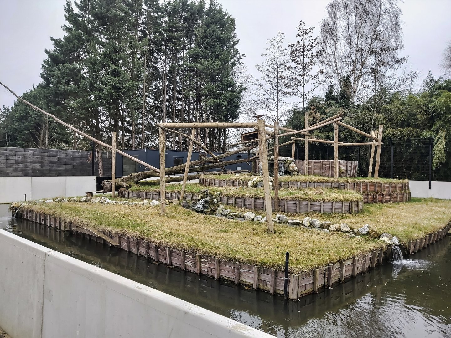 (New) Binturong enclosure