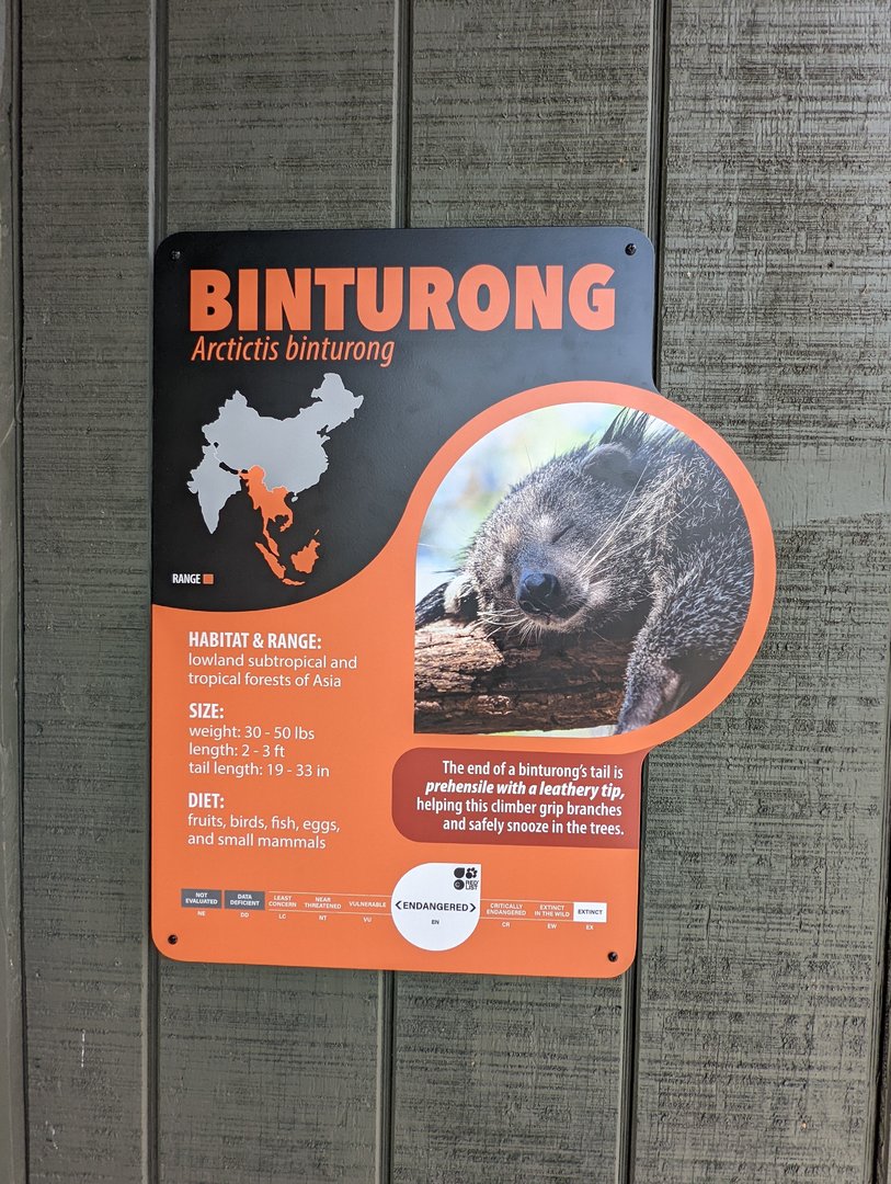 New Binturong signage