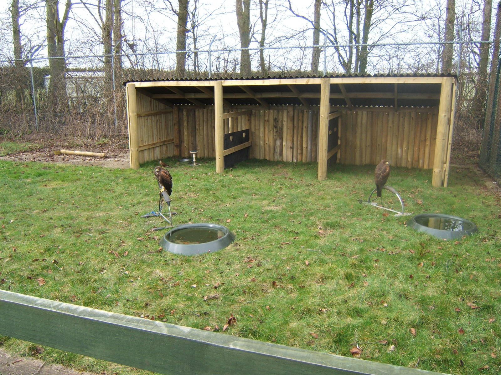 New Bird of Prey Mews