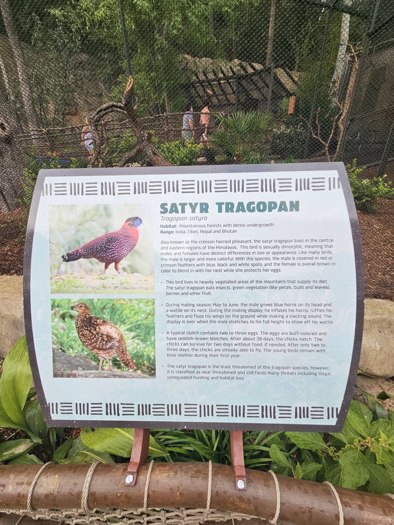 New birds get new sign