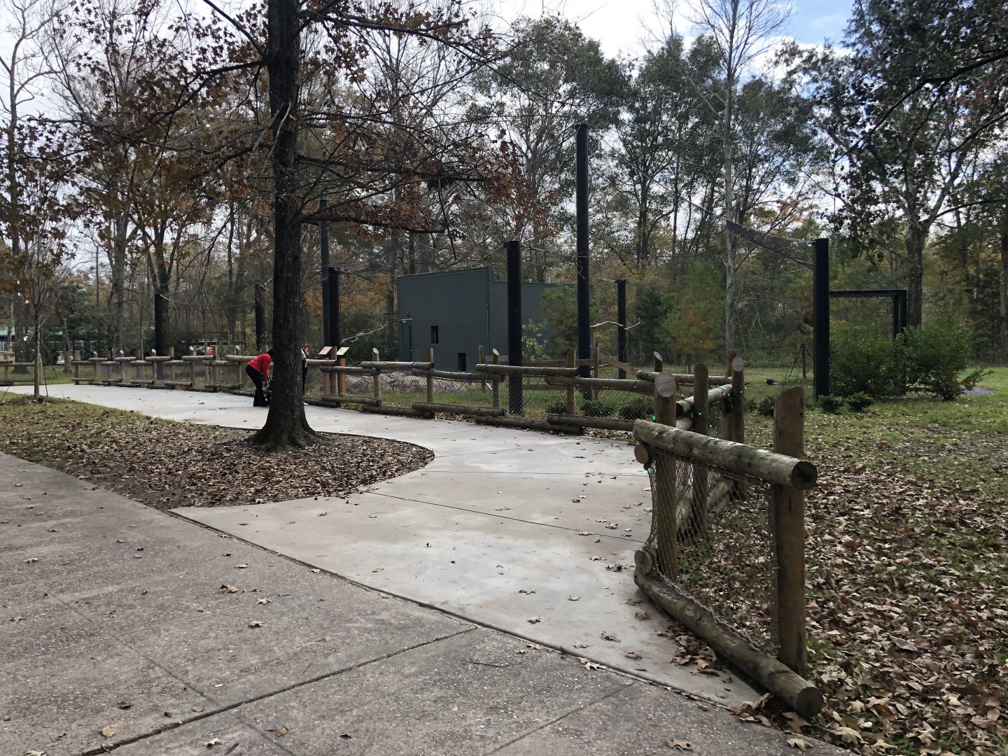 New Birds of Prey Aviary