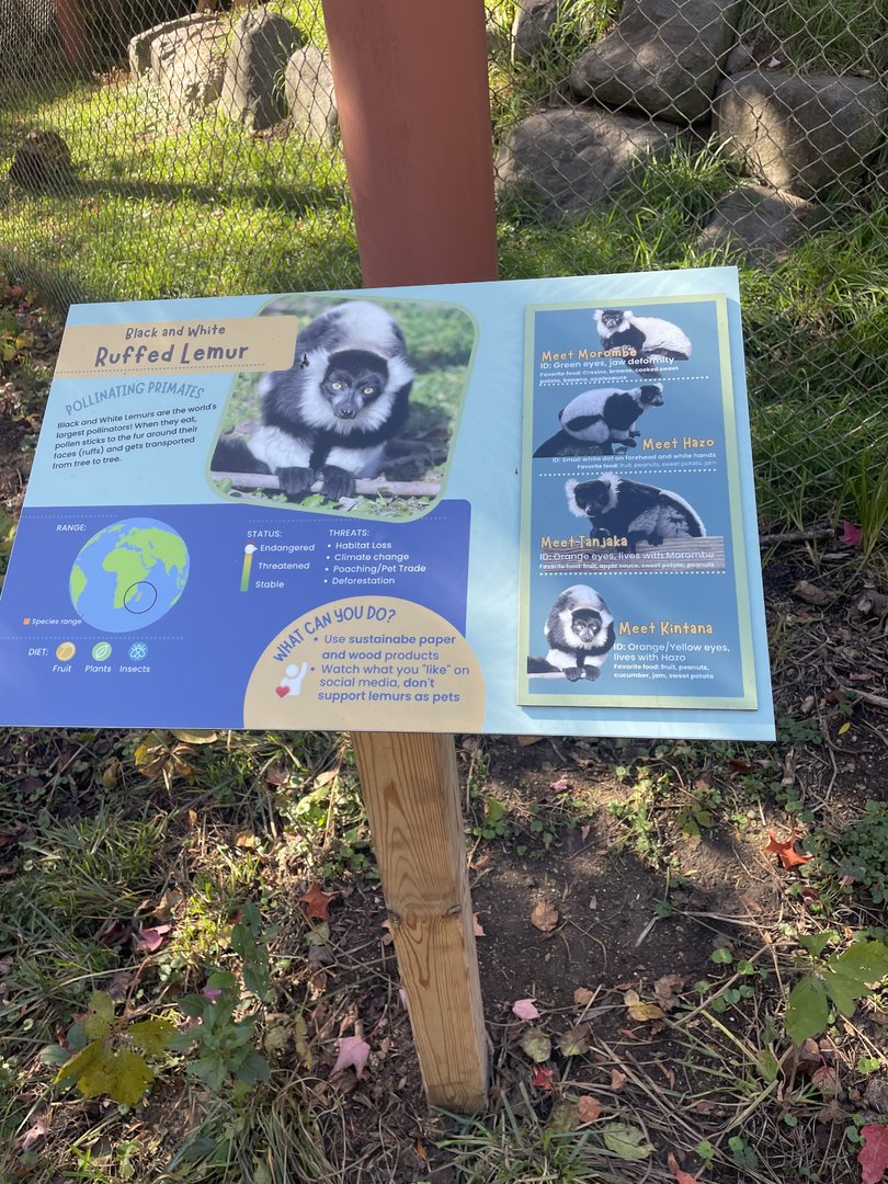 New Black-and-White Ruffed Lemur Signage