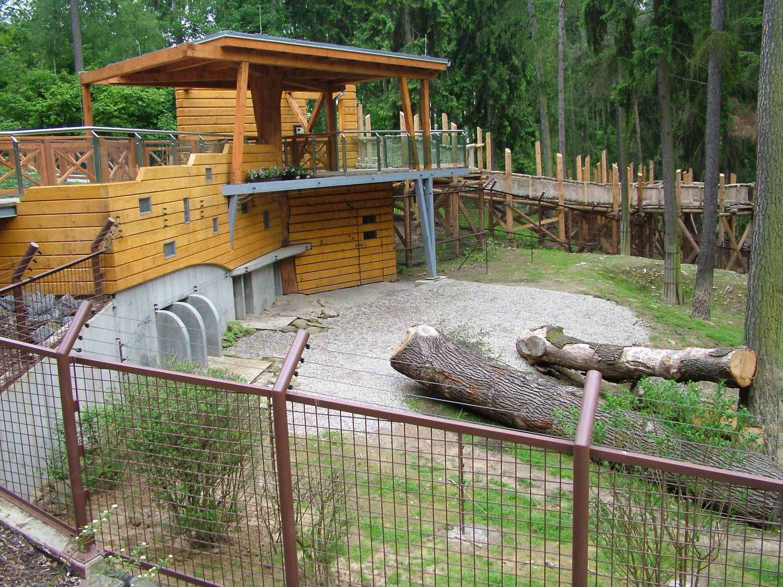 New Black Bear exhibit at Olomouc 30/05/10