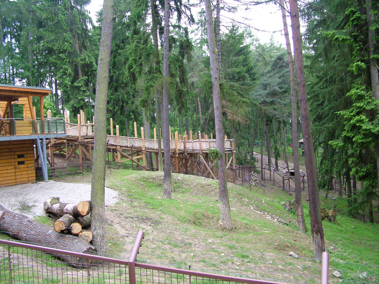New Black Bear exhibit at Olomouc 30/05/10