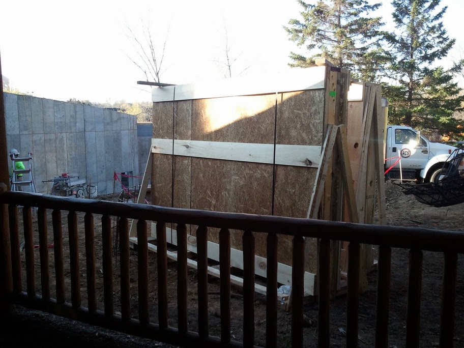 New Black Bear Exhibit