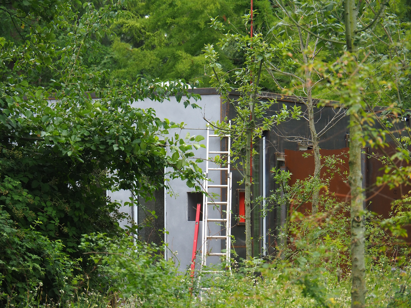 New Black howler monkey and Mantled tamarin house, seen behind the former red river hog exhibit, 2023-07-18