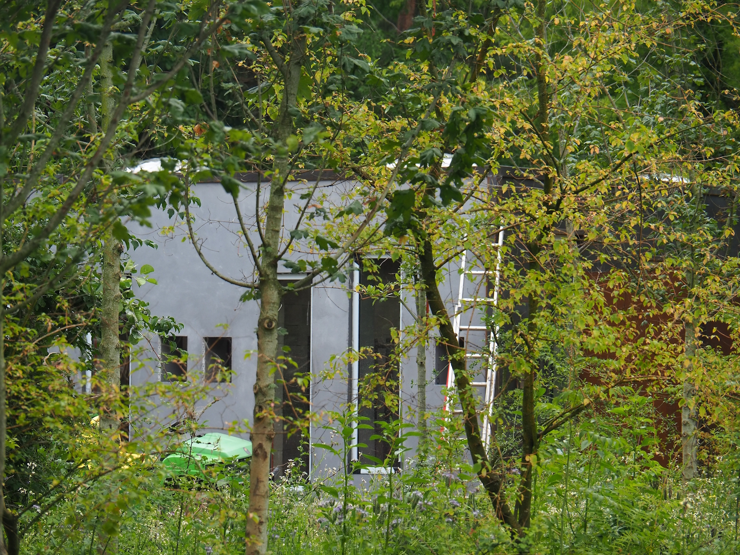 New Black howler monkey and Mantled tamarin house, seen behind the former red river hog exhibit, 2023-07-18