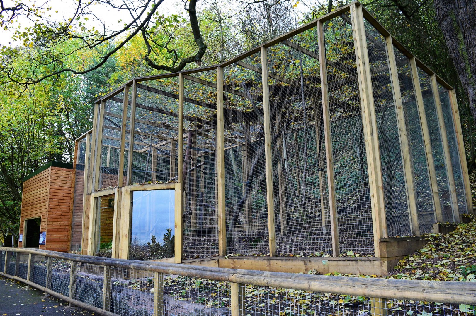 New black lemur enclosure