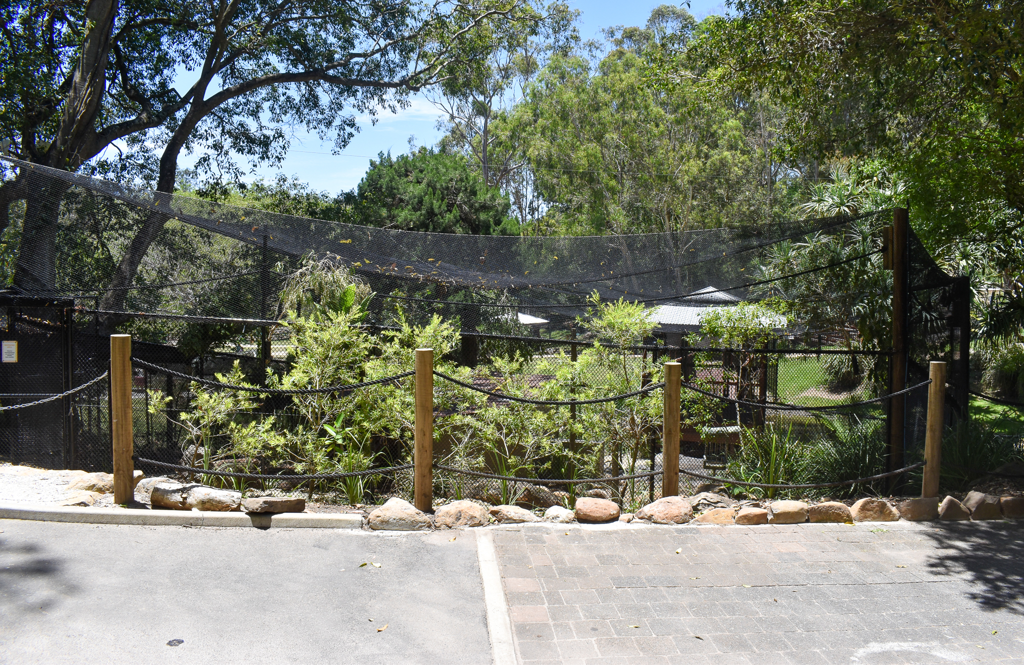 New Black-necked Stork/Grey-headed Flying Fox Aviary