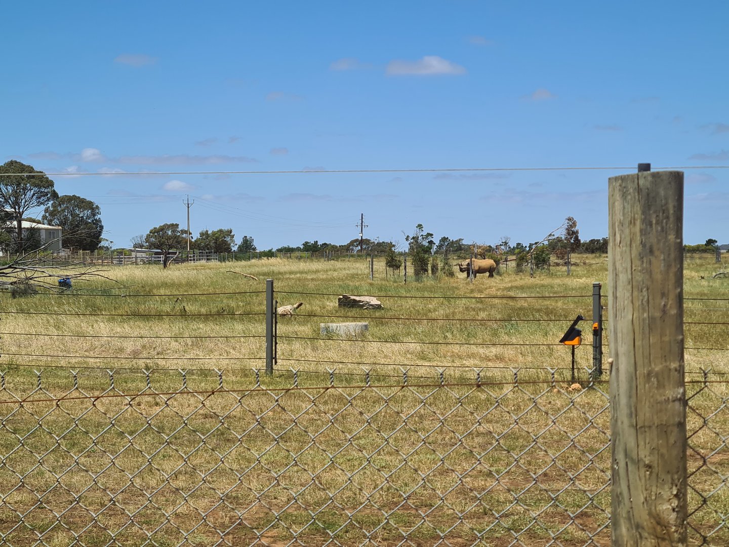 New Black Rhino paddock