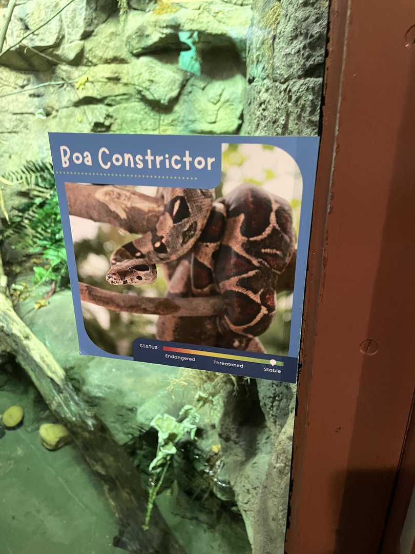 NEW Boa Constrictor Exhibit Signage