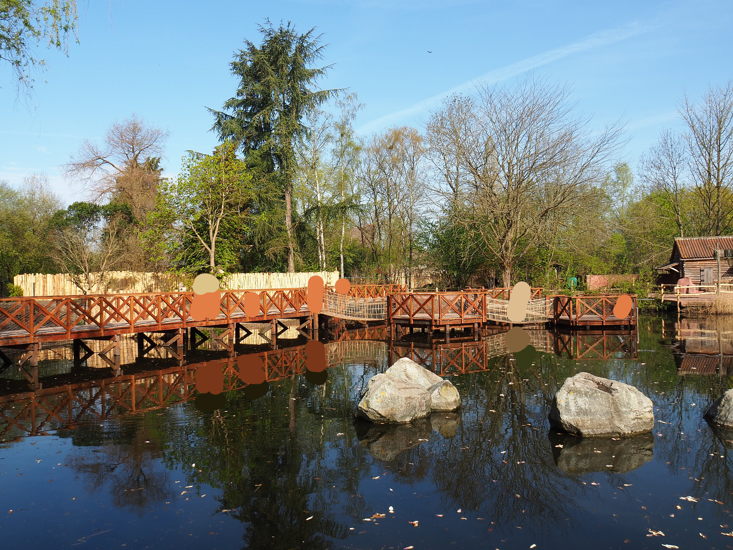 New boardwalk alongside Double-wattled cassowary exhibits, 2022-04-12