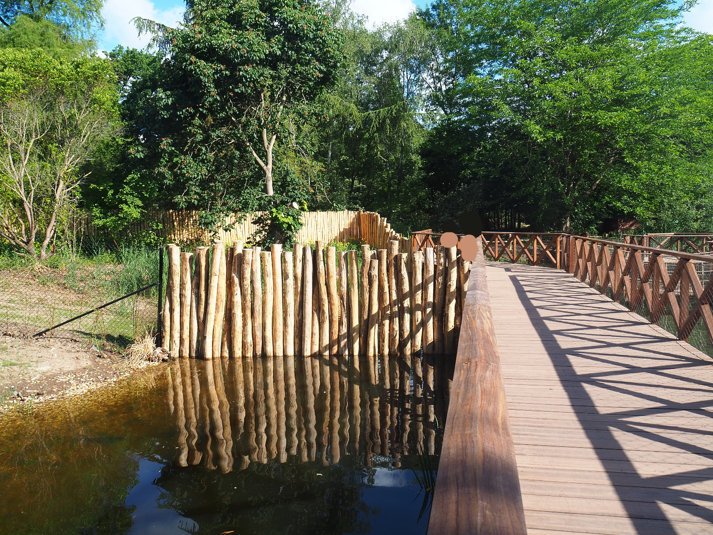 New boardwalk alongside double-wattled cassowary exhibits, 2022-05-28