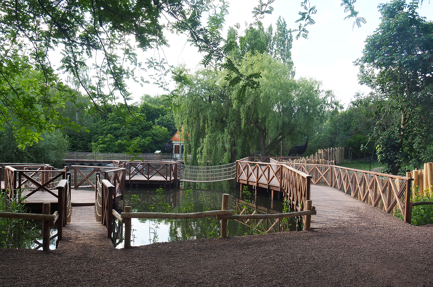 New boardwalk and play areas alongside Double-wattled cassowary exhibits, 2022-05-28