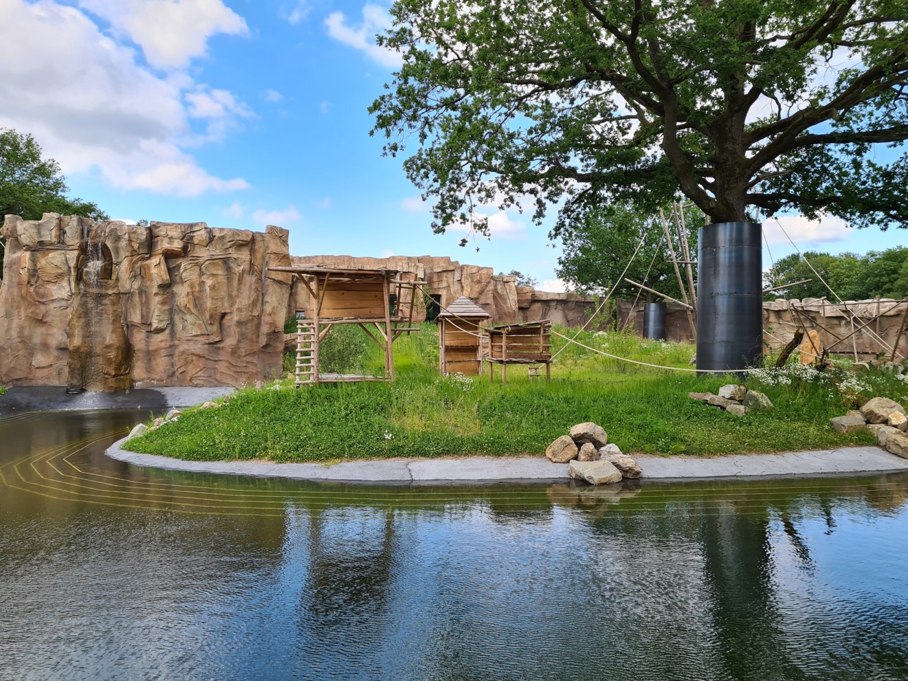 New bonobo enclosure - right island