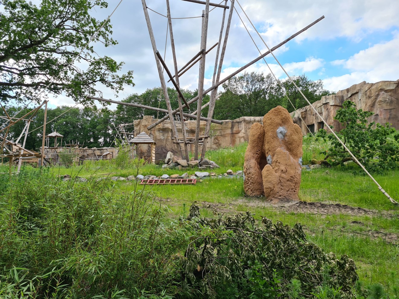 New bonobo enclosure - Right island