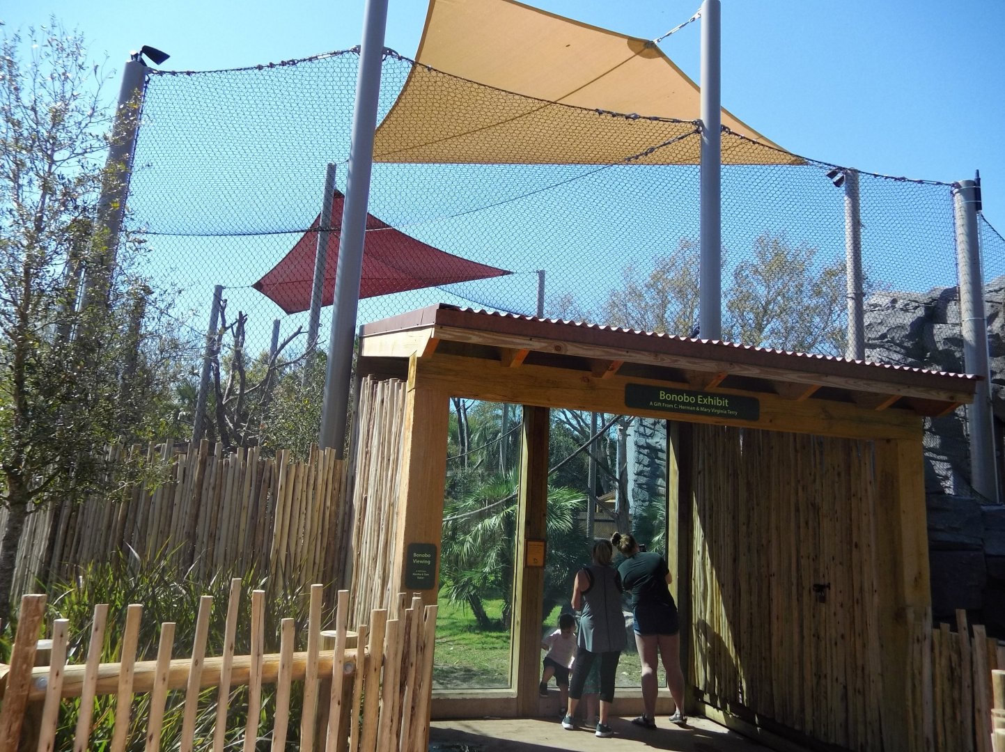 New Bonobo Exhibit Viewing Area