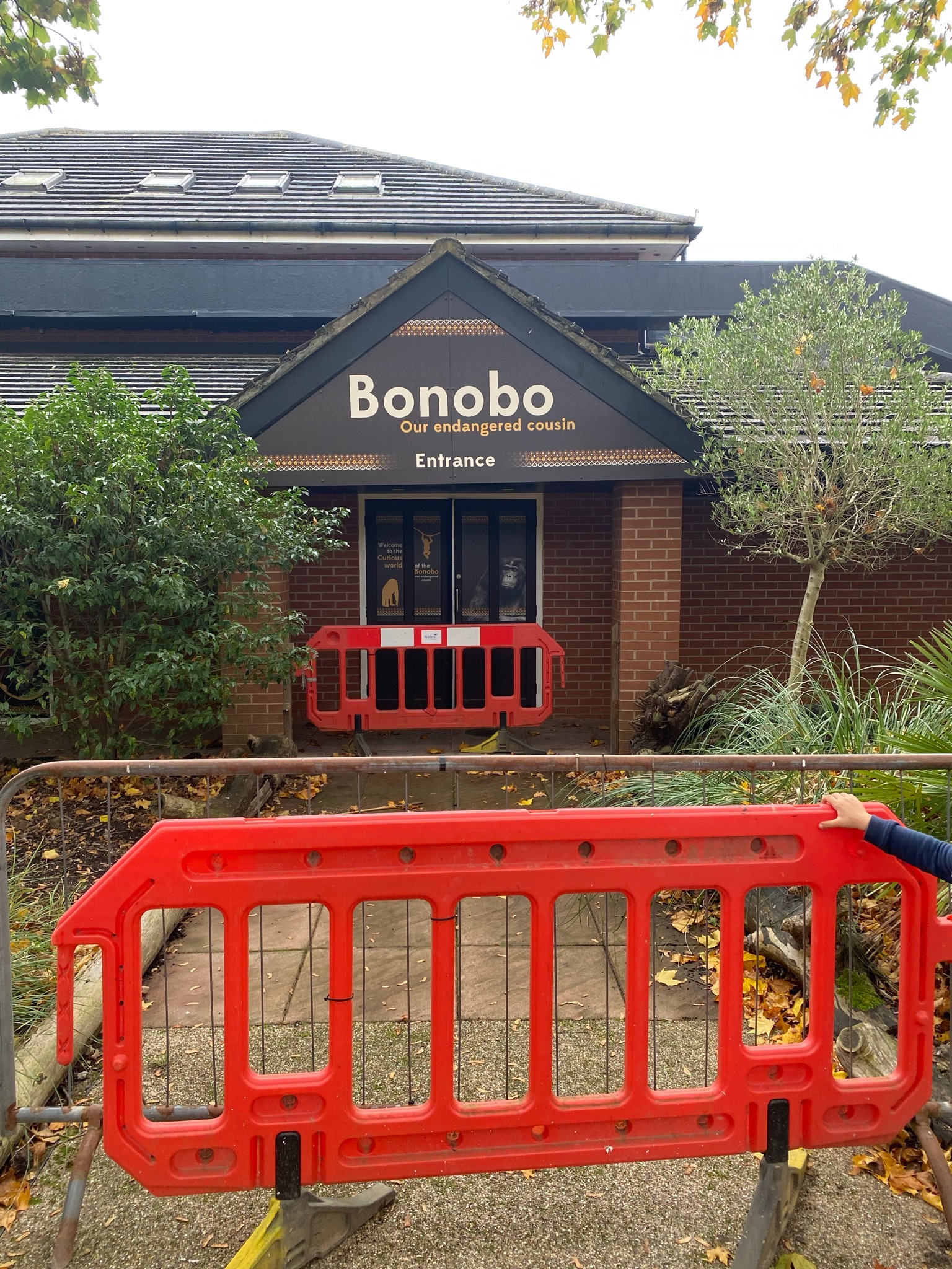 New bonobos house