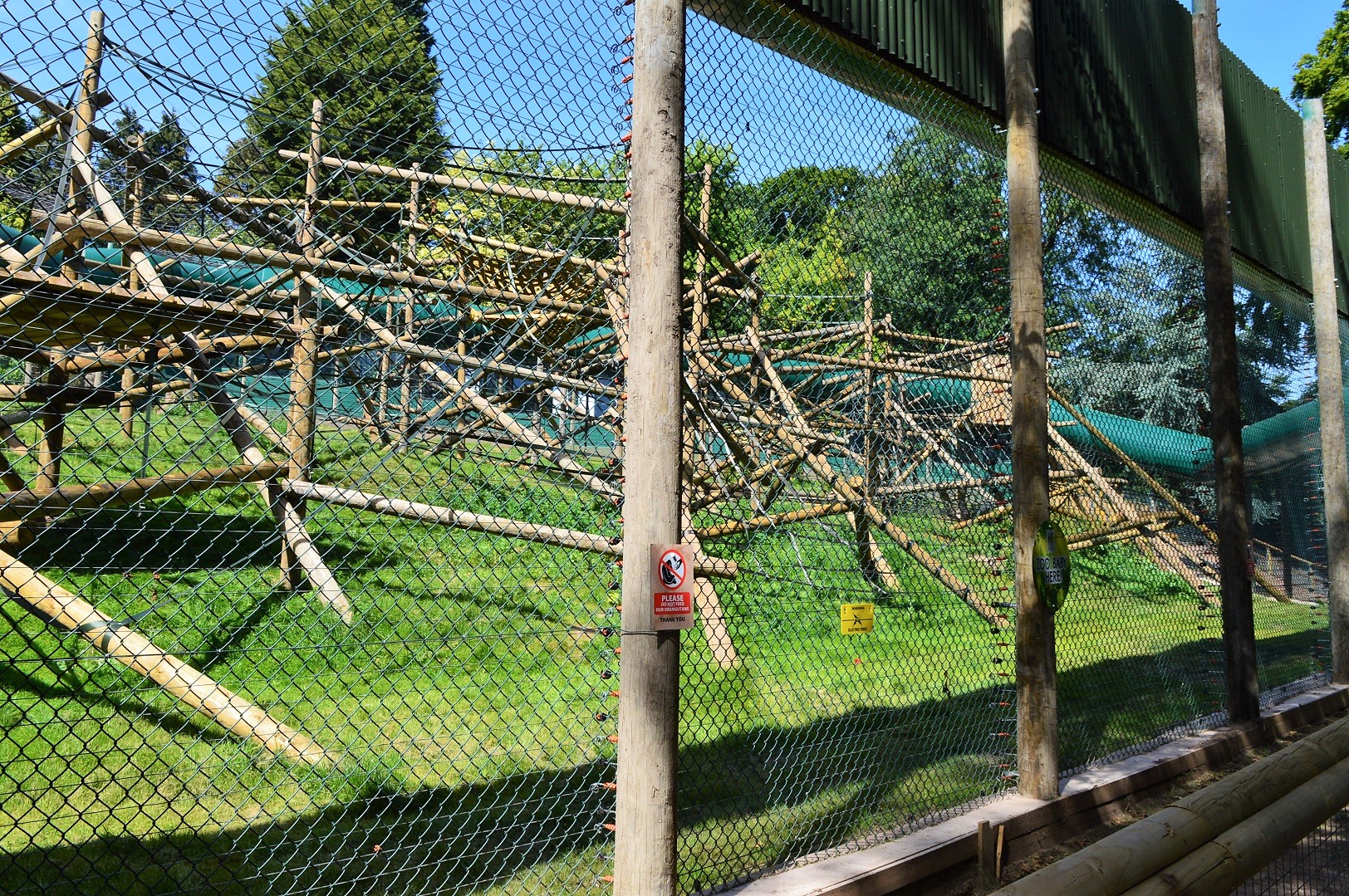 New Bornean orangutan enclosure