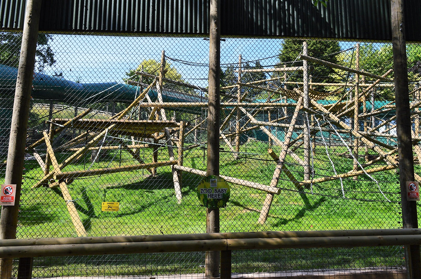 New Bornean orangutan enclosure