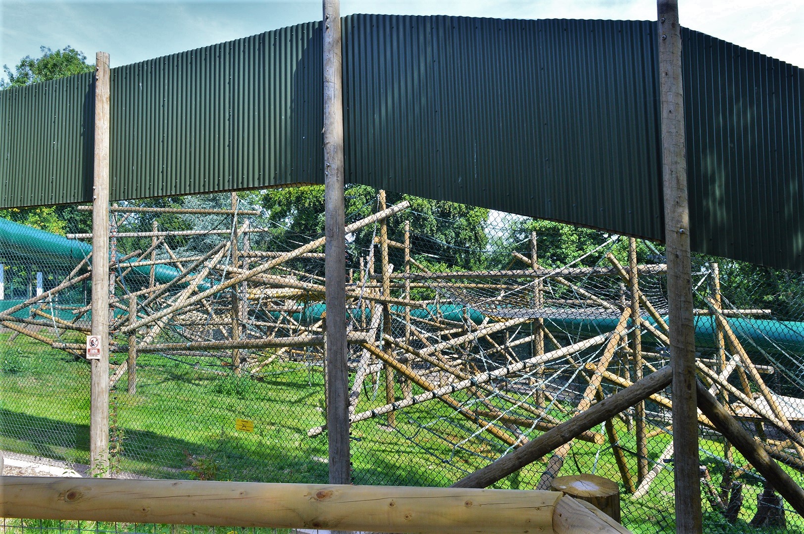 New Bornean orangutan enclosure