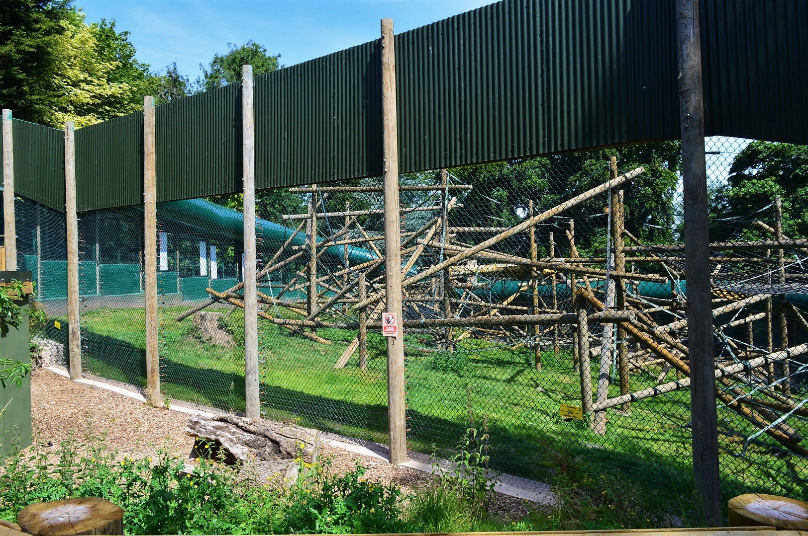New Bornean orangutan enclosure