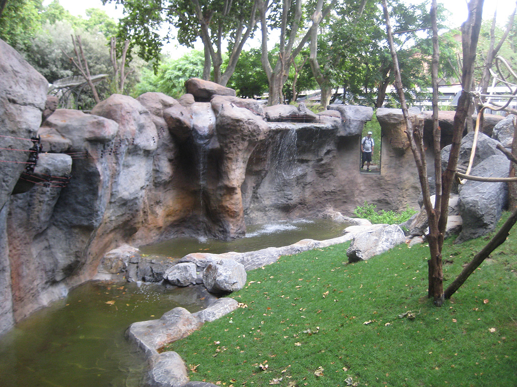 New Bornean Orangutan exhibit