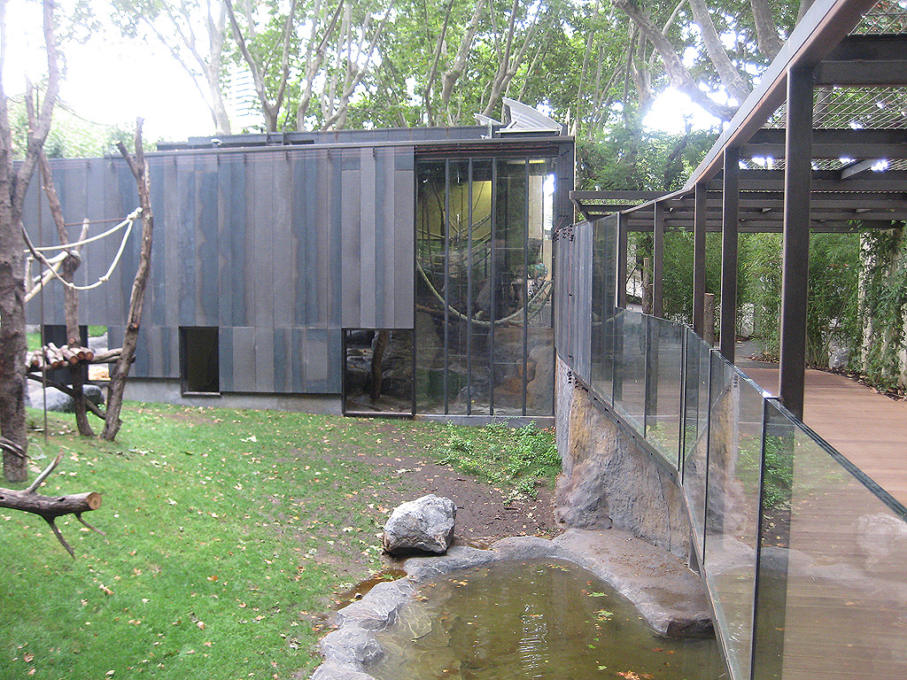 New Bornean Orangutan exhibit