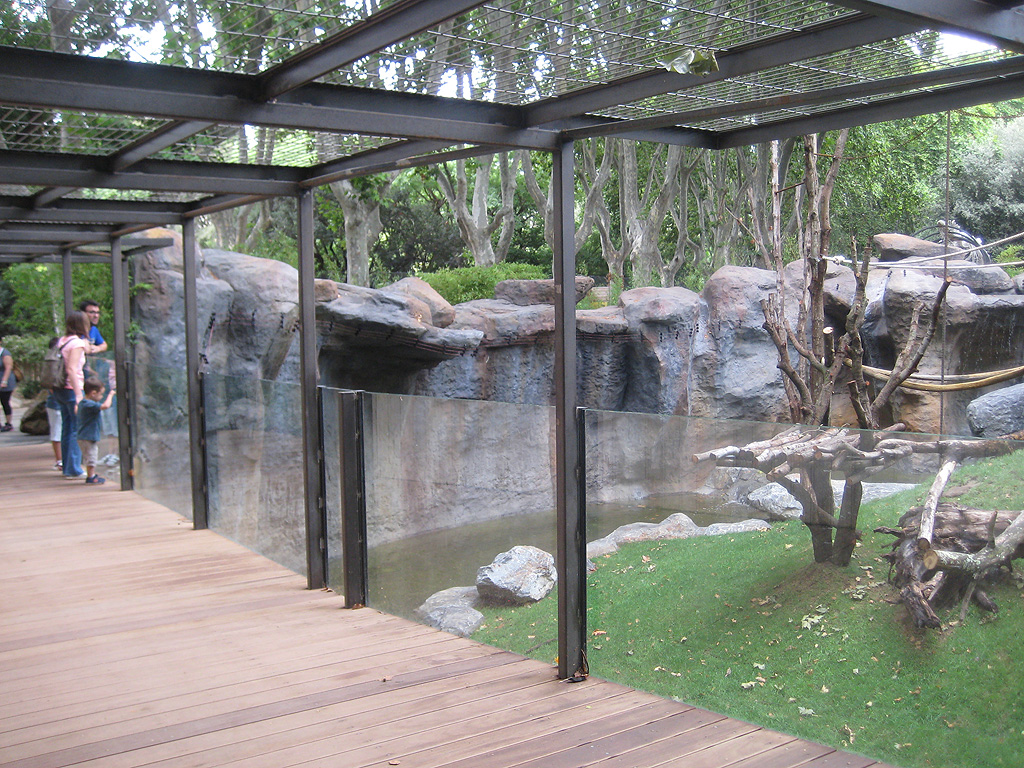 New Bornean Orangutan exhibit