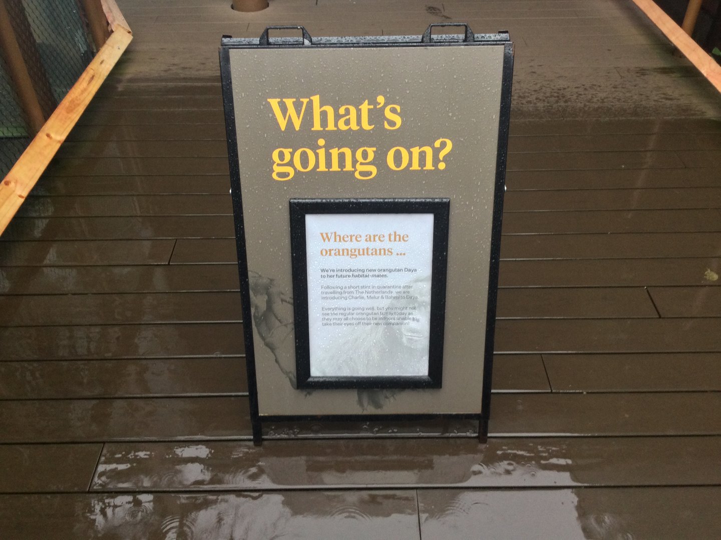 New Bornean Orangutan Signage
