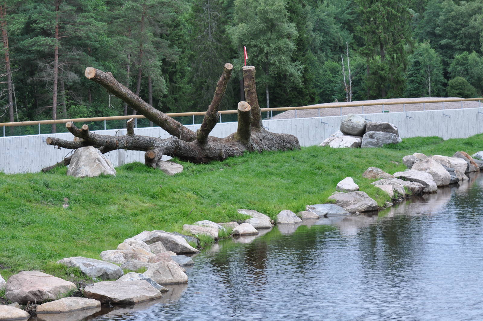 New brown bear exhibit -Borås Zoo