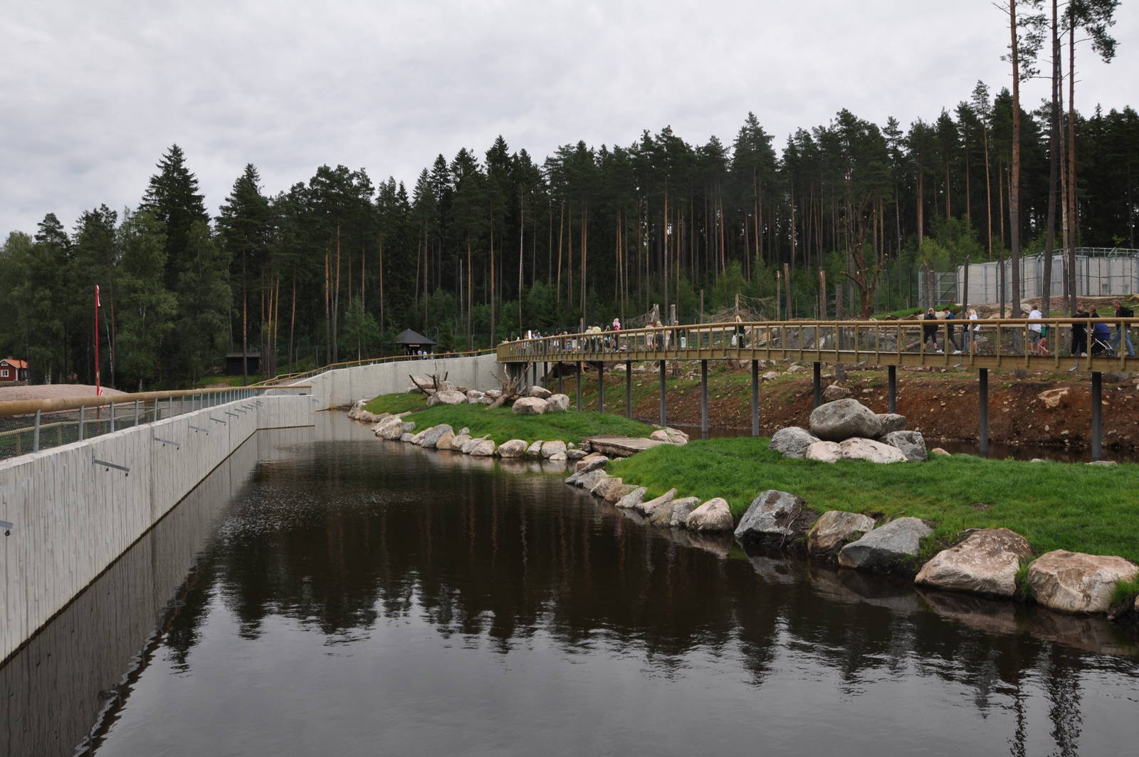 New brown bear exhibit -Borås Zoo