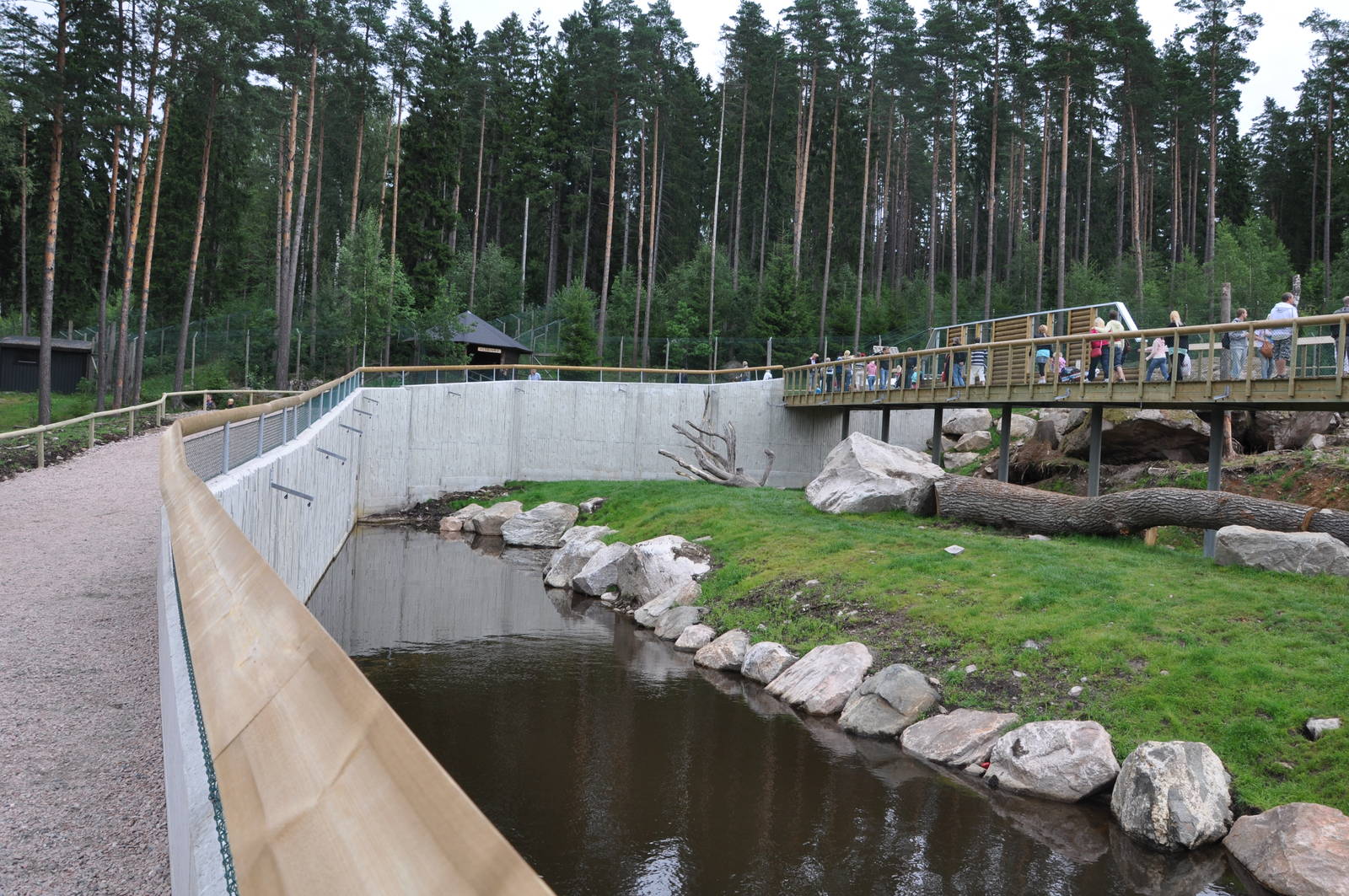 New brown bear exhibit -Borås Zoo