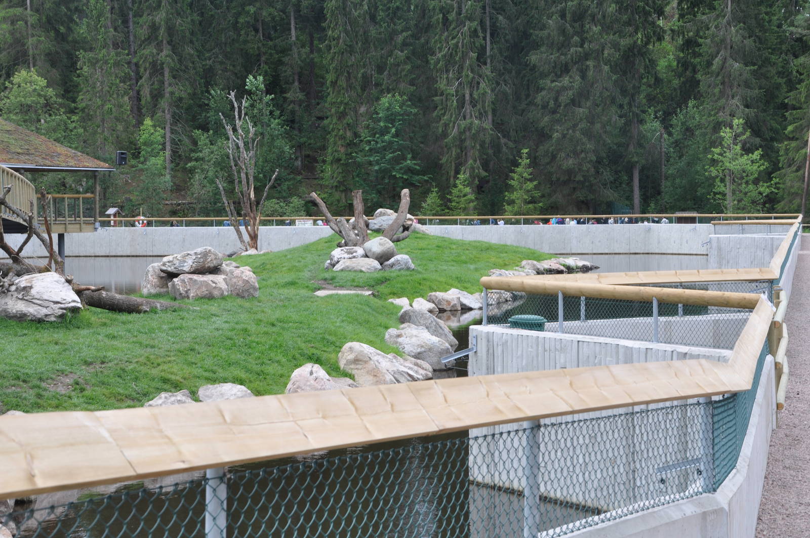New brown bear exhibit -Borås Zoo