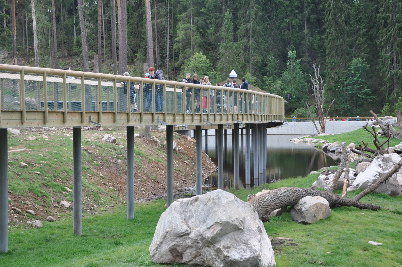 New brown bear exhibit -Borås Zoo