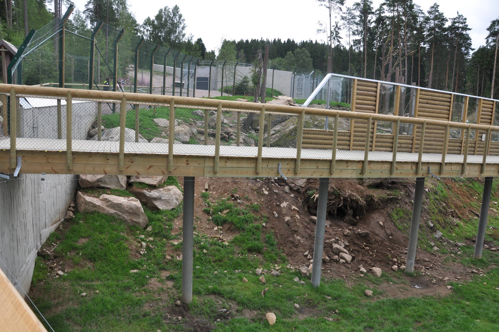 New brown bear exhibit -Borås Zoo