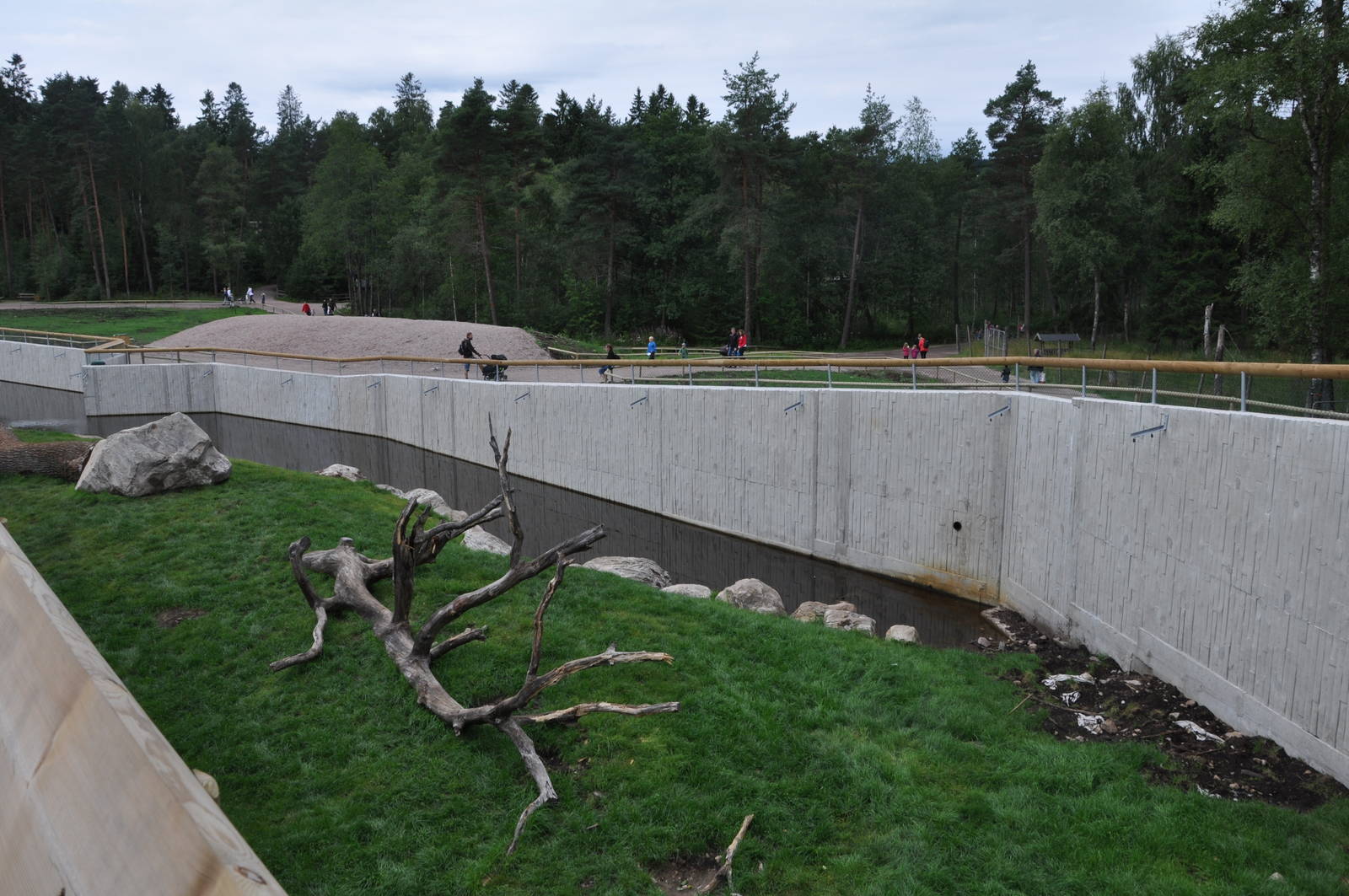 New brown bear exhibit -Borås Zoo