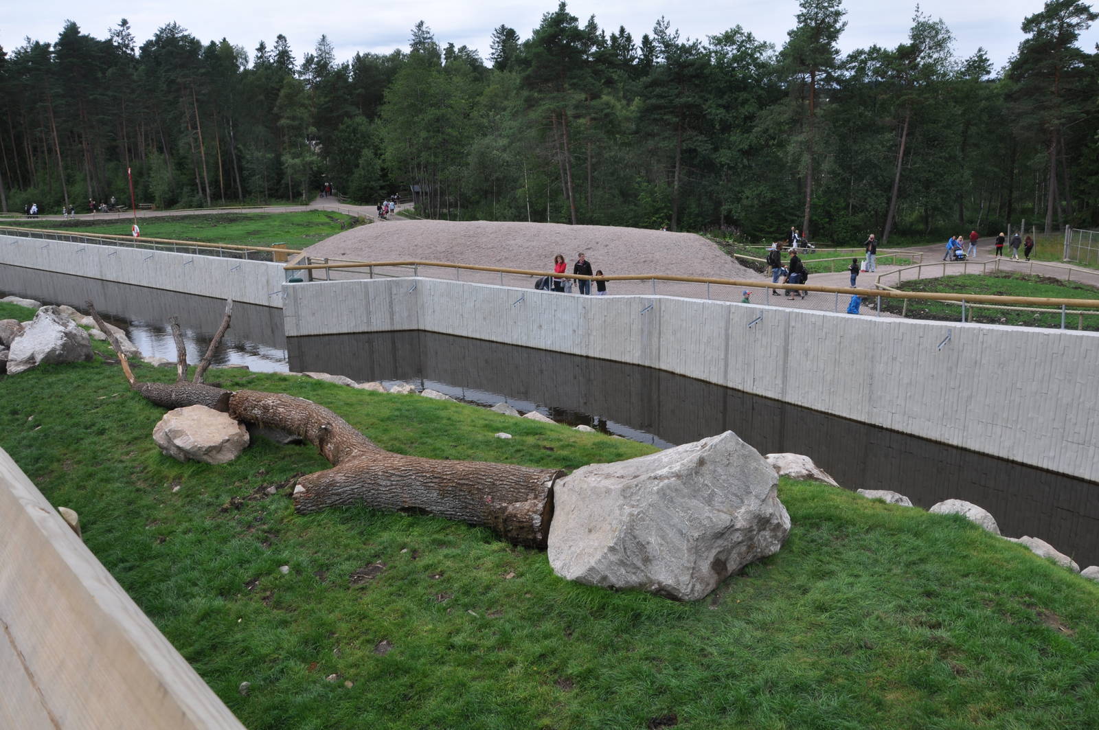 New brown bear exhibit -Borås Zoo
