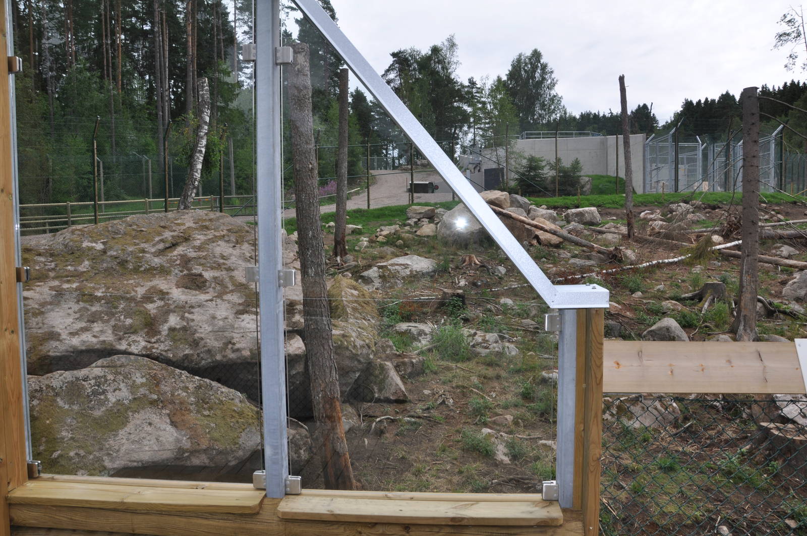 New brown bear exhibit -Borås Zoo