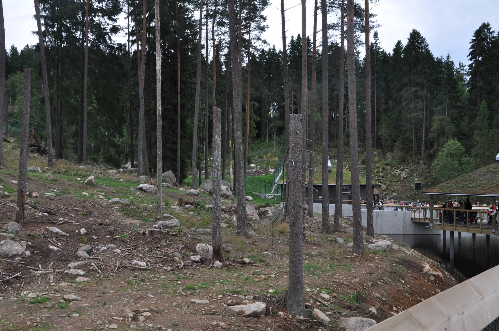 New brown bear exhibit -Borås Zoo