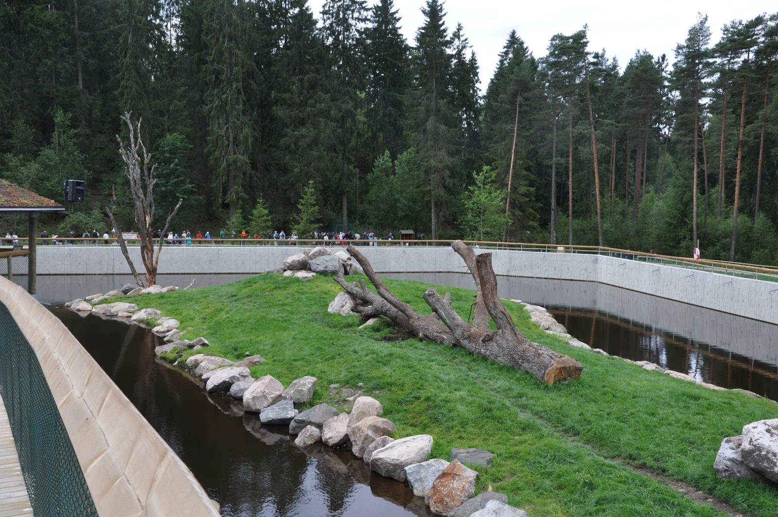 New brown bear exhibit -Borås Zoo