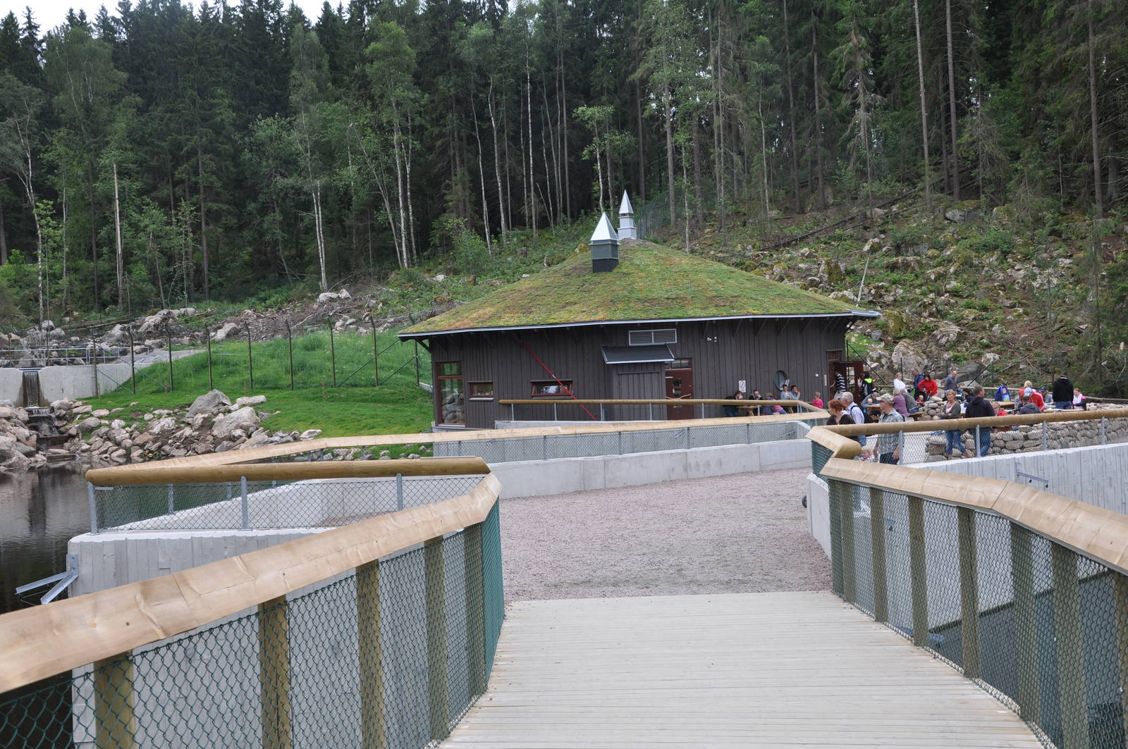 New brown bear exhibit -Borås Zoo