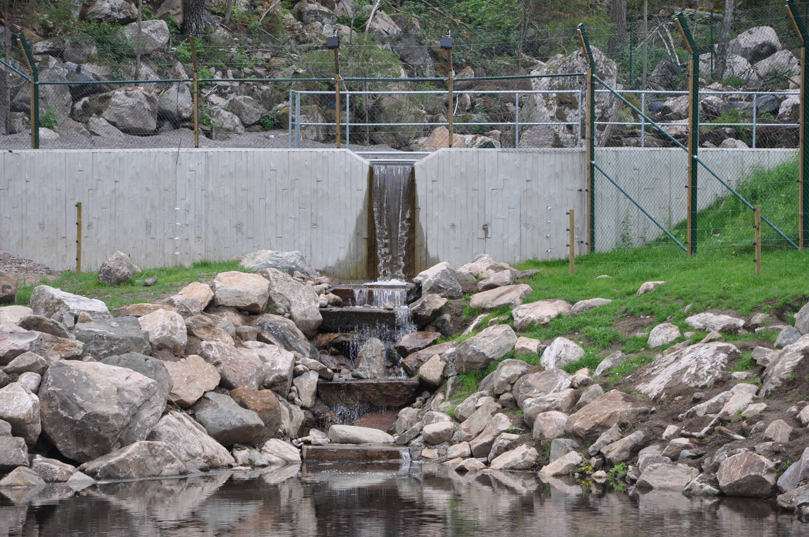 New brown bear exhibit -Borås Zoo